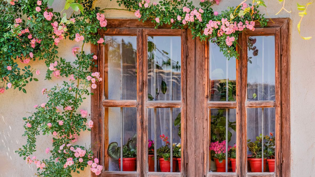 ‏ارتباطات خاطئة